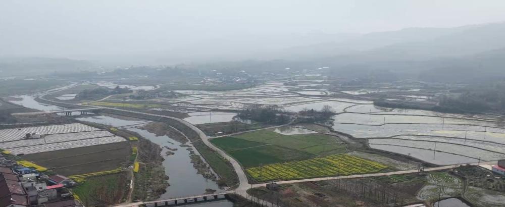 生态修复“点绿成金”